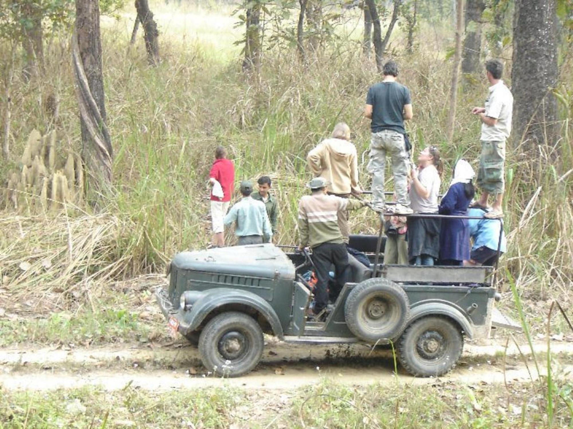 Hotel Rainforest Sauraha Dış mekan fotoğraf