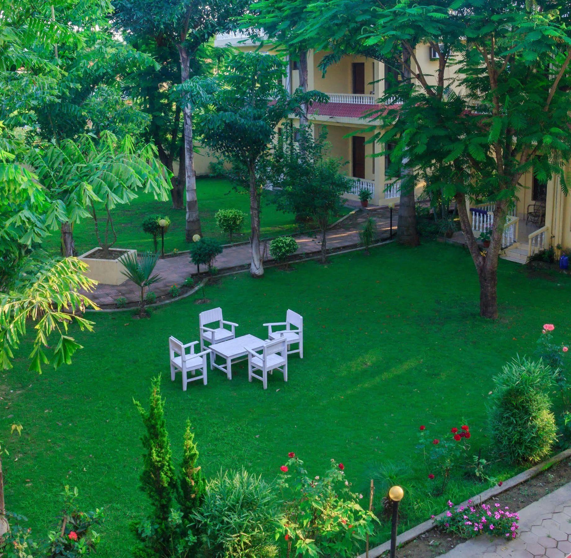 Hotel Rainforest Sauraha Dış mekan fotoğraf