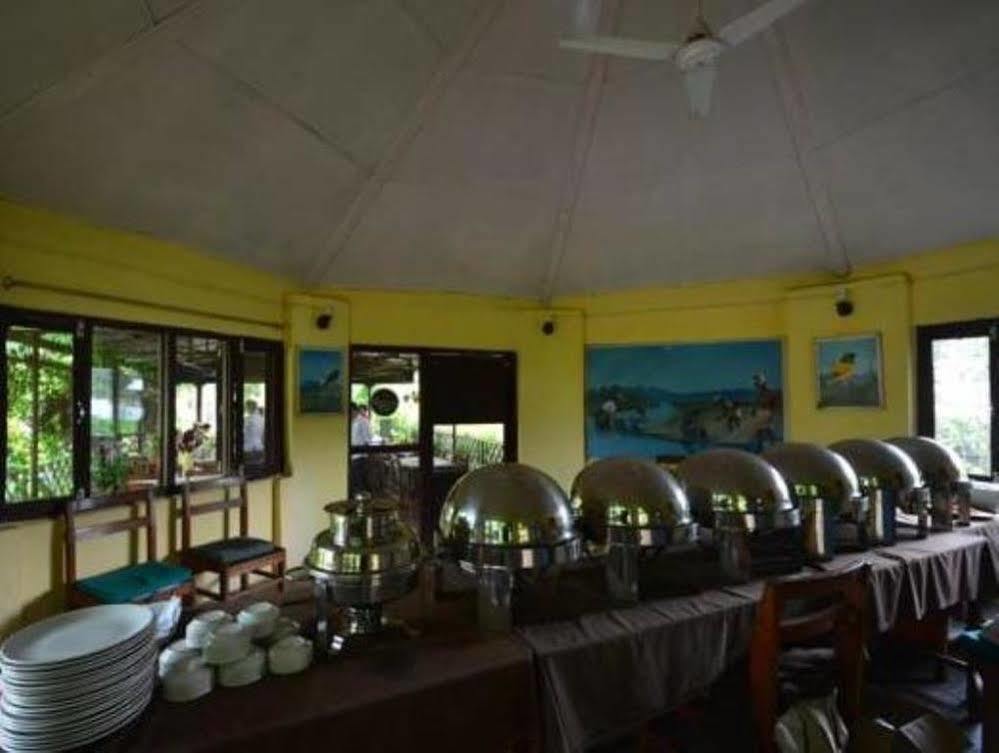 Hotel Rainforest Sauraha Dış mekan fotoğraf