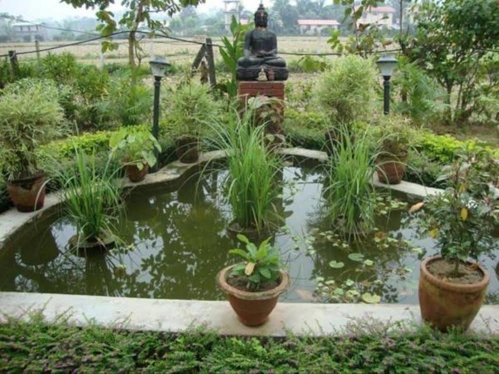 Hotel Rainforest Sauraha Dış mekan fotoğraf