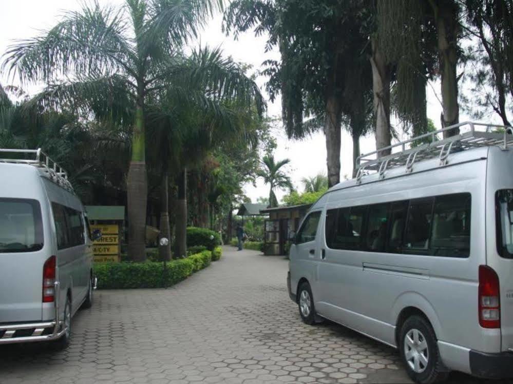 Hotel Rainforest Sauraha Dış mekan fotoğraf
