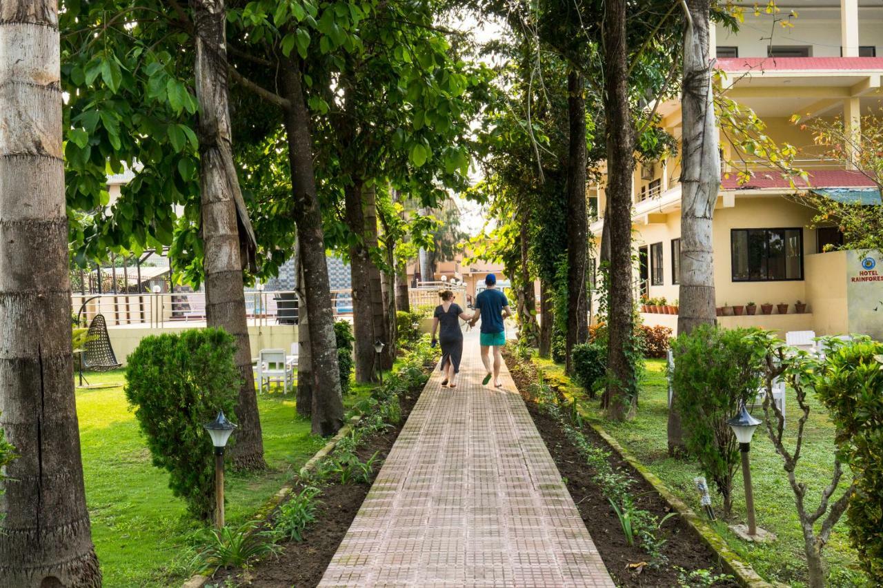 Hotel Rainforest Sauraha Dış mekan fotoğraf