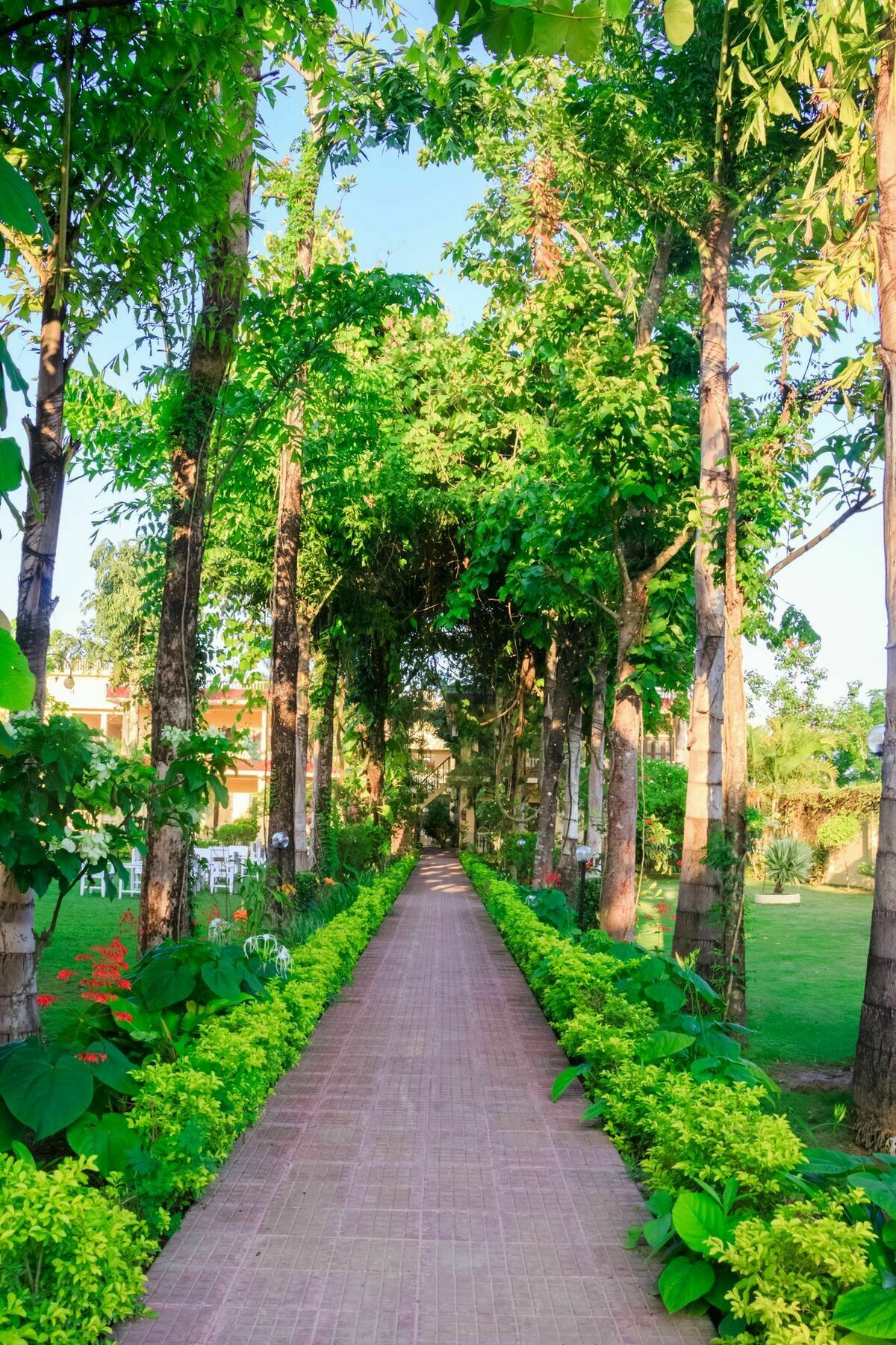 Hotel Rainforest Sauraha Dış mekan fotoğraf